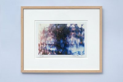 1995 Max Matter